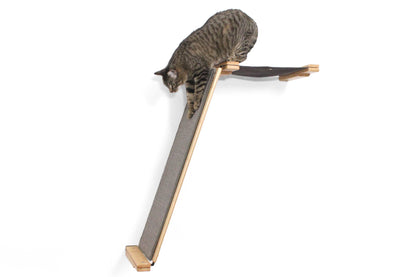 Wall-Mounted Angled Cat Scratcher Lounge for Indoor Cats, Climbing Ramp with Elevated Resting Bed, Dog-Proof Perch for Scratching, Play & Lounging