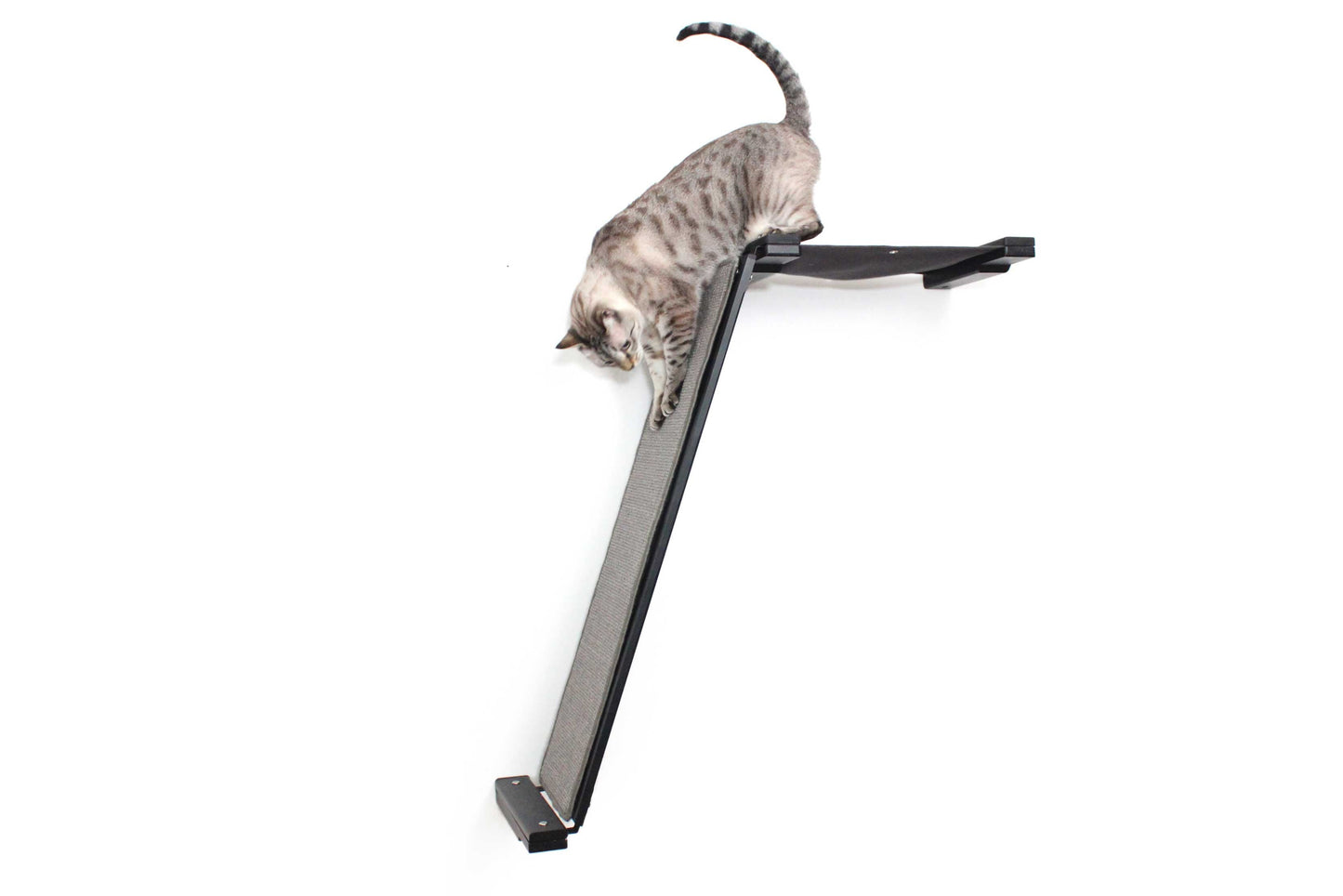 Wall-Mounted Angled Cat Scratcher Lounge for Indoor Cats, Climbing Ramp with Elevated Resting Bed, Dog-Proof Perch for Scratching, Play & Lounging