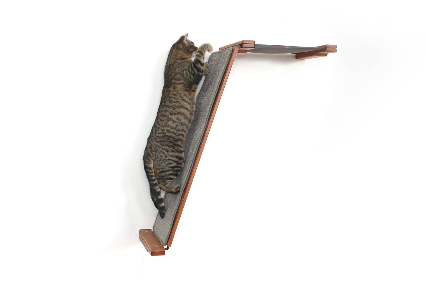 Wall-Mounted Angled Cat Scratcher Lounge for Indoor Cats, Climbing Ramp with Elevated Resting Bed, Dog-Proof Perch for Scratching, Play & Lounging
