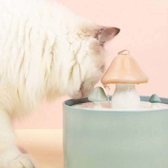 Mushroom Ceramic Cat Water Fountain, Quiet Automatic Pet Drinking Fountain with Five-Layer Filtration & USB Pump, for Cats, Kittens & Puppies