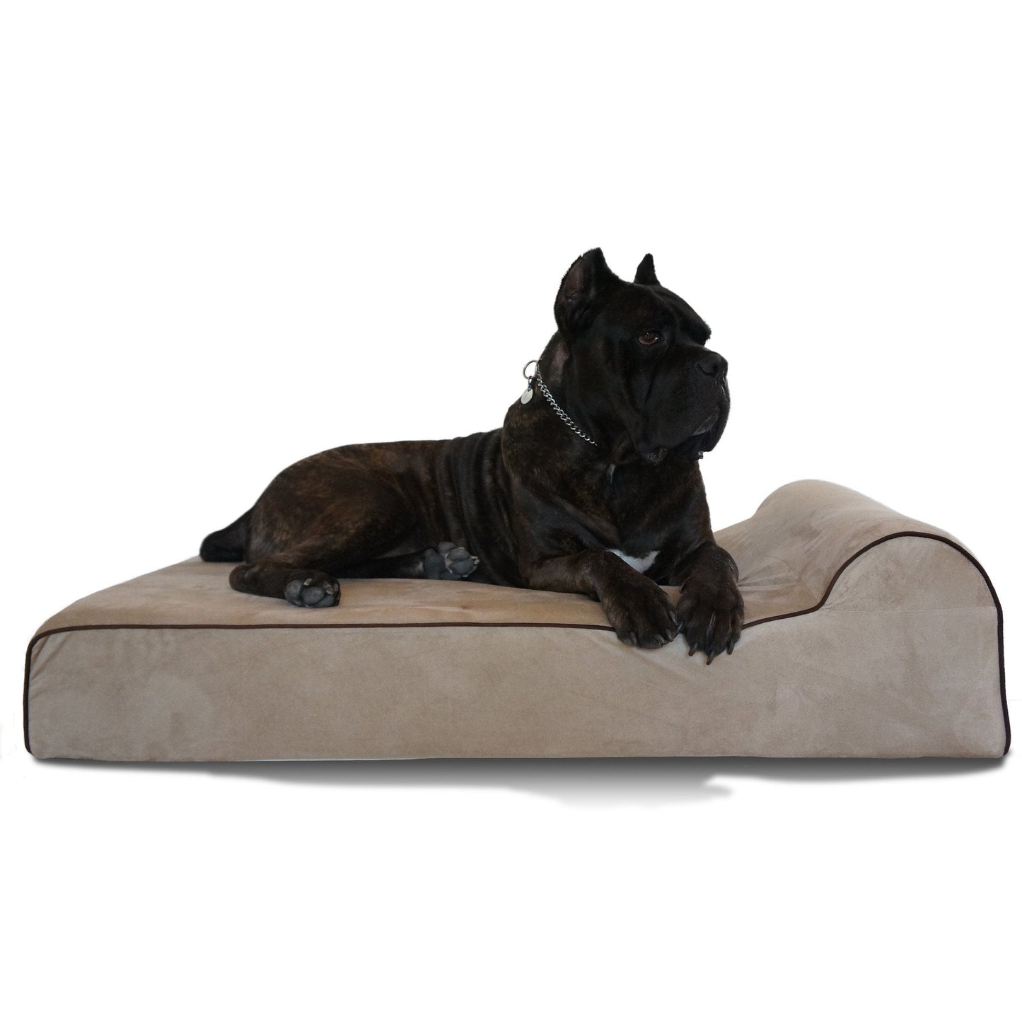 Orthopedic Memory Foam Dog Bed for Large & Extra Large Breeds, Waterproof Washable Big Dog Bed for Arthritic & Senior Dogs, Non-Slip, Chew-Guard Zipper