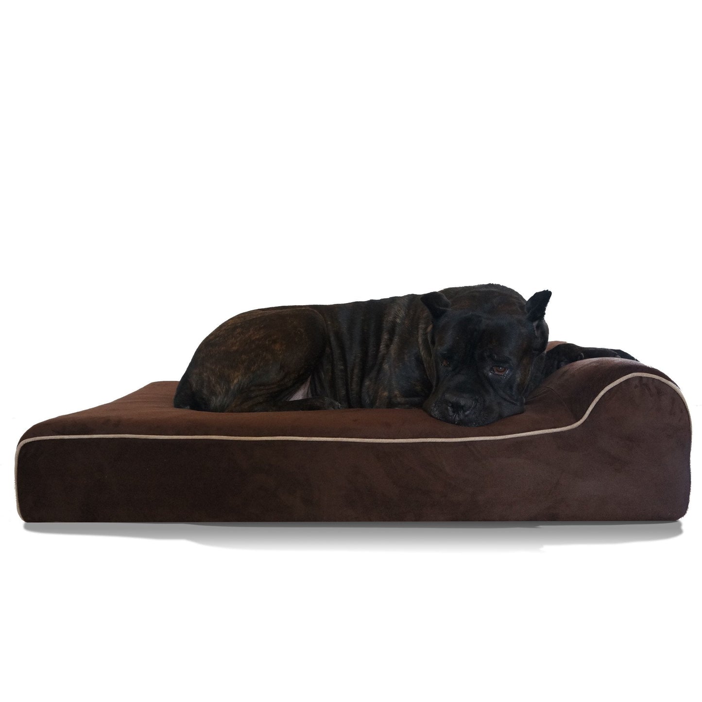 Orthopedic Memory Foam Dog Bed for Large & Extra Large Breeds, Waterproof Washable Big Dog Bed for Arthritic & Senior Dogs, Non-Slip, Chew-Guard Zipper