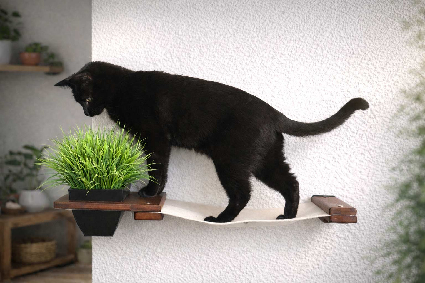 Wall-Mounted Cat Hammock with Planter for Indoor Cats, Hanging Lounge Bed for Cat Grass & Greenery, Stud-Mount Wall Furniture for Napping & Foraging