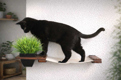 Wall-Mounted Cat Hammock with Planter for Indoor Cats, Hanging Lounge Bed for Cat Grass & Greenery, Stud-Mount Wall Furniture for Napping & Foraging