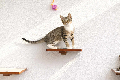 Wall-Mounted Wooden Cat Perch for Indoor Cats, Sturdy Floating Shelf Bed, Space-Saving Cat Wall Furniture for Climbing, Lounging & Room Watching