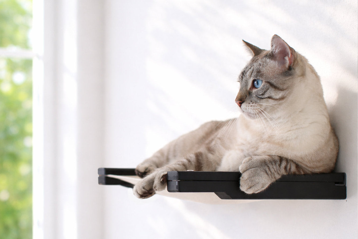 Wall-Mounted Cat Hammock Bed for Indoor Cats, Modular Hanging Lounge with Bamboo Mounting Planks, Stud-Mount Cat Wall Furniture for Napping & Climbing