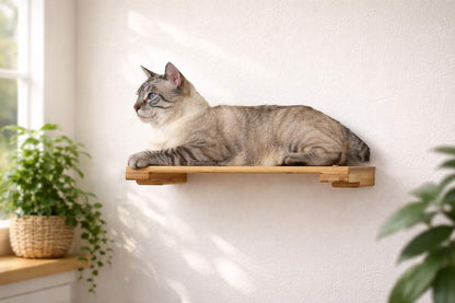 Wall-Mounted Cat Shelf for Indoor Cats, Solid Bamboo Floating Perch with Optional Faux Fur Plush Bed, Space-Saving Wall Furniture for Lounging & Climbing