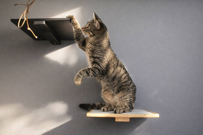 Wall-Mounted Wooden Cat Perch for Indoor Cats, Sturdy Floating Shelf Bed, Space-Saving Cat Wall Furniture for Climbing, Lounging & Room Watching