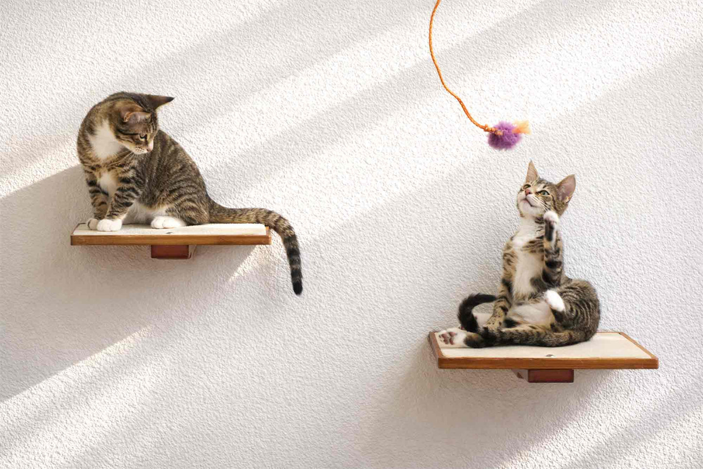 Wall-Mounted Wooden Cat Perch for Indoor Cats, Sturdy Floating Shelf Bed, Space-Saving Cat Wall Furniture for Climbing, Lounging & Room Watching