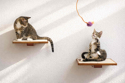 Wall-Mounted Wooden Cat Perch for Indoor Cats, Sturdy Floating Shelf Bed, Space-Saving Cat Wall Furniture for Climbing, Lounging & Room Watching