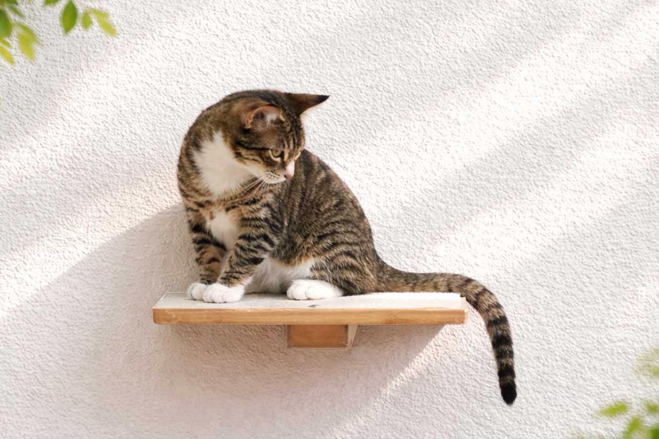 Wall-Mounted Wooden Cat Perch for Indoor Cats, Sturdy Floating Shelf Bed, Space-Saving Cat Wall Furniture for Climbing, Lounging & Room Watching