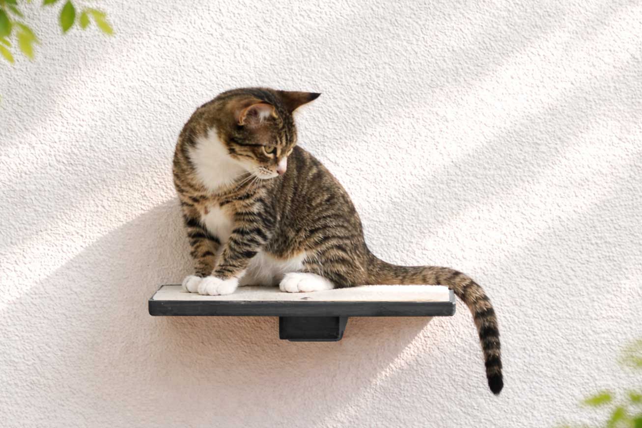 Wall-Mounted Wooden Cat Perch for Indoor Cats, Sturdy Floating Shelf Bed, Space-Saving Cat Wall Furniture for Climbing, Lounging & Room Watching