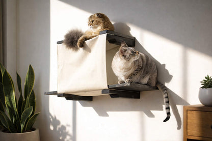 Wall-Mounted Covered Cat Cubby Bed with Side Perches for Indoor Cats, Enclosed Hideaway Cat Wall Furniture for Privacy, Climbing, Lounging & Play