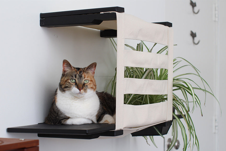 Deluxe Wall-Mounted Cat Cubby Bed for Indoor Cats, Covered Hideaway with Perch & Planter or Feeder Option, Cat Wall Furniture for Privacy & Lounging
