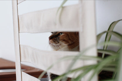 Deluxe Wall-Mounted Cat Cubby Bed for Indoor Cats, Covered Hideaway with Perch & Planter or Feeder Option, Cat Wall Furniture for Privacy & Lounging