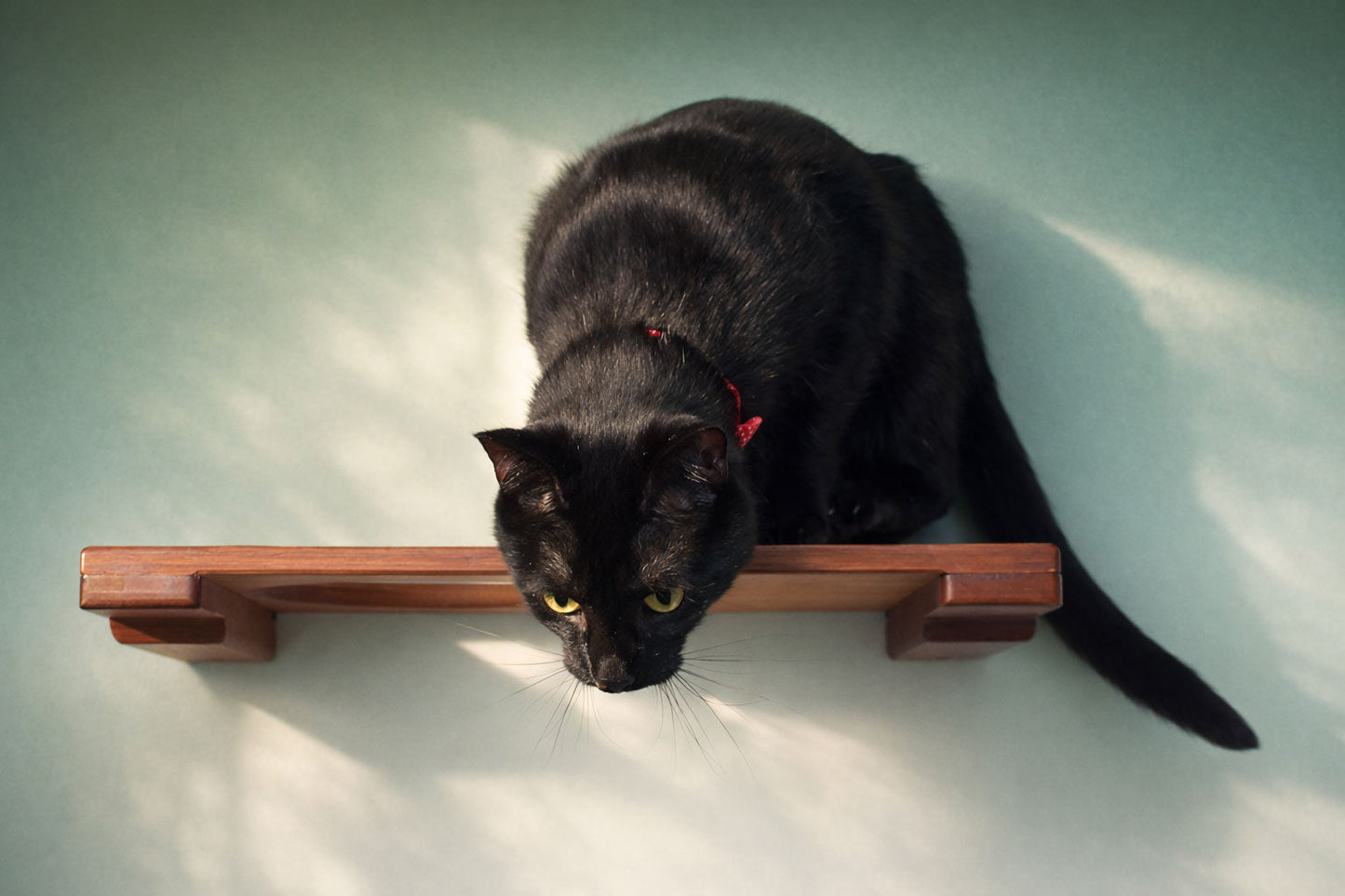 Wall-Mounted Cat Shelf for Indoor Cats, Solid Bamboo Floating Perch with Optional Faux Fur Plush Bed, Space-Saving Wall Furniture for Lounging & Climbing