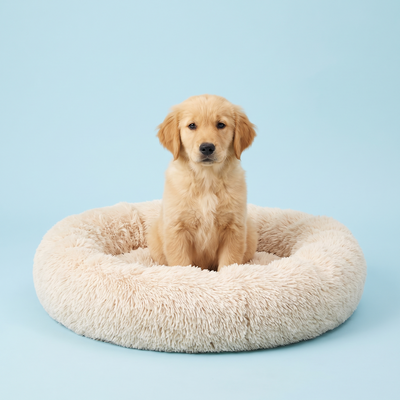 Calming beds