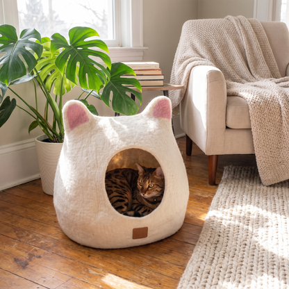 Lifestyle product photo