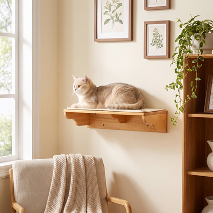 Lifestyle product photo