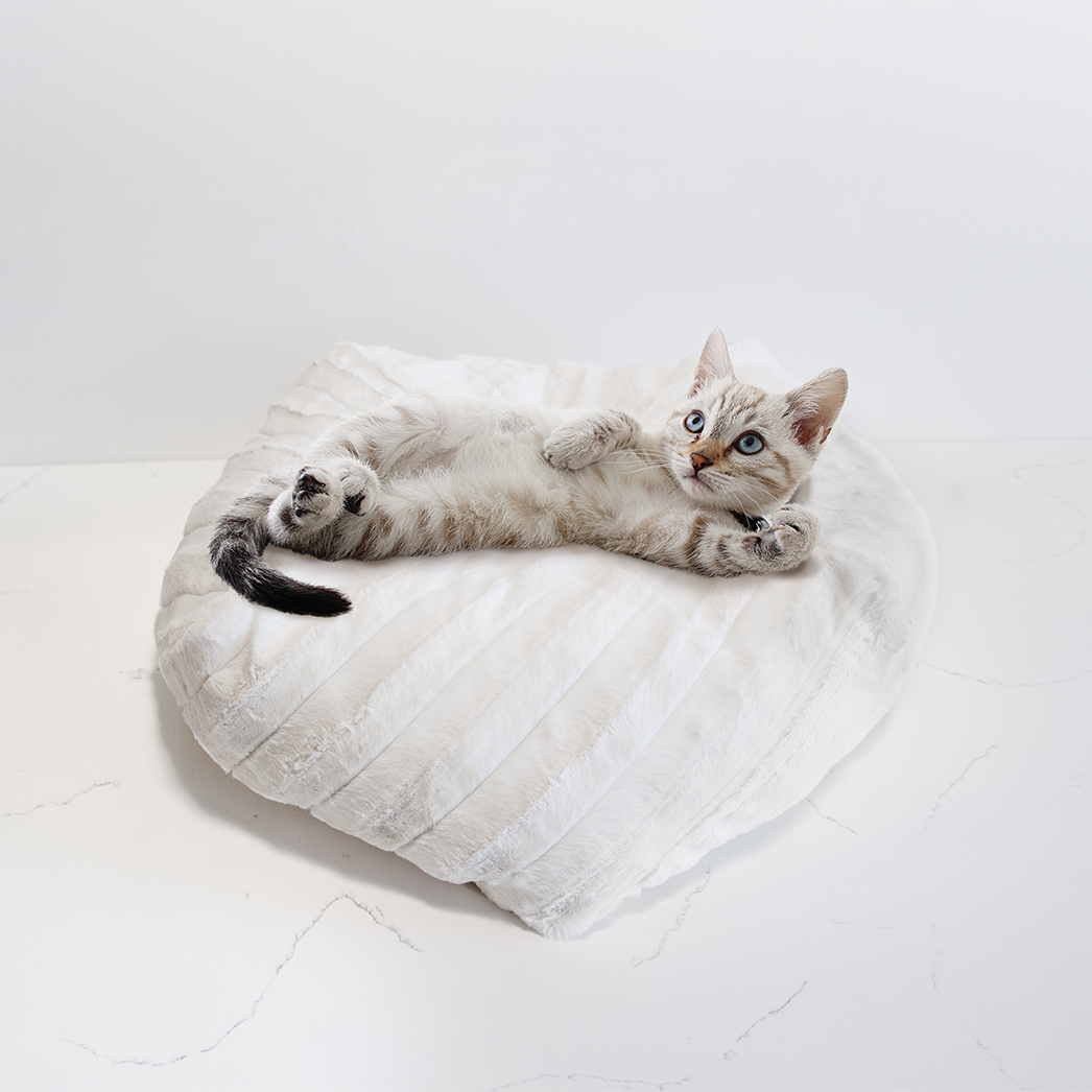 Plush Pouf Cat Bed for Indoor Cats, Ultra Soft Faux Fur Round Pet Bed with Hypoallergenic Fill, Machine Washable, for Napping, Couches & Bedrooms
