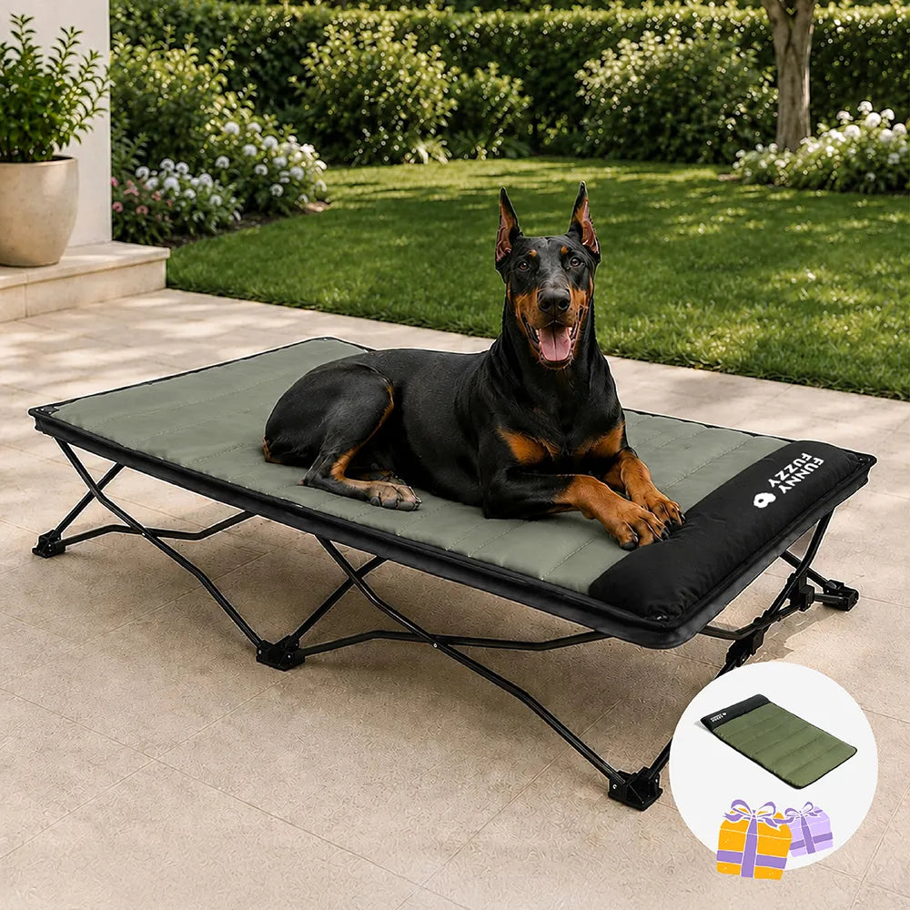 Foldable Elevated Dog Bed with Waterproof Mat for Small, Medium & Large Dogs, Portable Raised Cot Set with Breathable Mesh for Camping, Travel & Patios