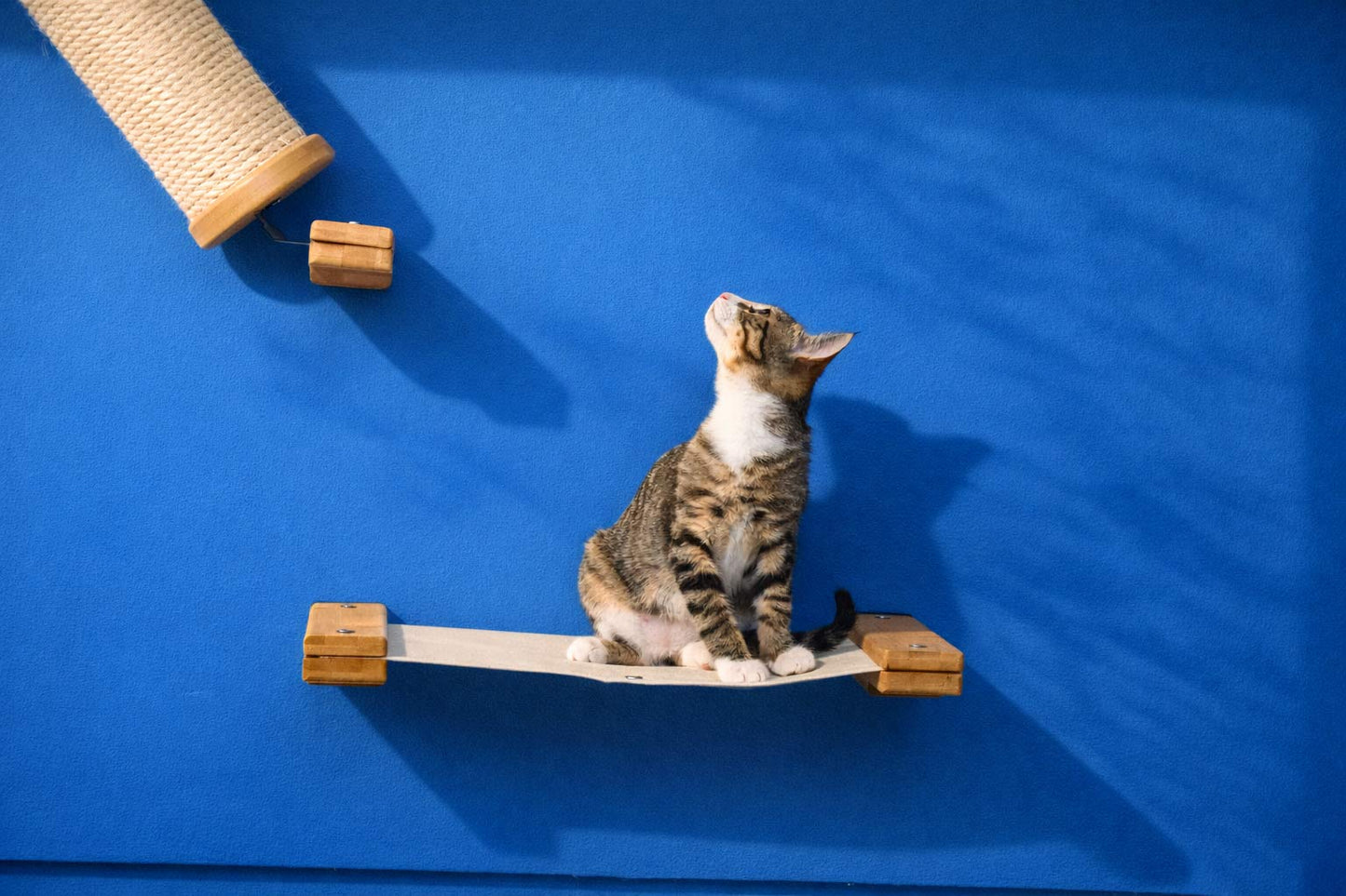 Wall-Mounted Cat Hammock Bed for Indoor Cats, Modular Hanging Lounge with Bamboo Mounting Planks, Stud-Mount Cat Wall Furniture for Napping & Climbing
