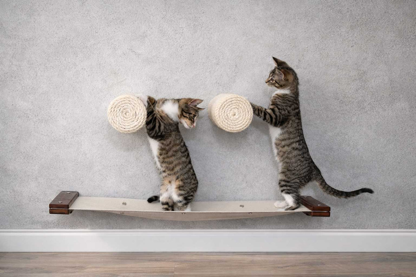 Wall-Mounted Cat Hammock Bed for Indoor Cats, Modular Hanging Lounge with Bamboo Mounting Planks, Stud-Mount Cat Wall Furniture for Napping & Climbing