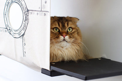 Wall-Mounted Covered Cat Cubby Bed with Side Perches for Indoor Cats, Enclosed Hideaway Cat Wall Furniture for Privacy, Climbing, Lounging & Play