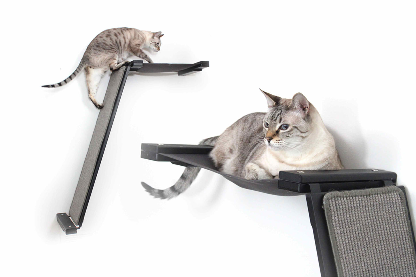 Wall-Mounted Angled Cat Scratcher Lounge for Indoor Cats, Climbing Ramp with Elevated Resting Bed, Dog-Proof Perch for Scratching, Play & Lounging