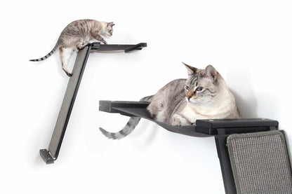 Wall-Mounted Angled Cat Scratcher Lounge for Indoor Cats, Climbing Ramp with Elevated Resting Bed, Dog-Proof Perch for Scratching, Play & Lounging