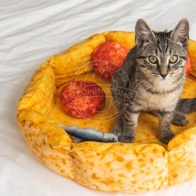Pizza Cat Bed for Cats & Small Dogs, Fun Plush Round Pet Bed with Detachable Squeaker Toy Pillows, Warm Cozy Novelty Bed for Napping & Play