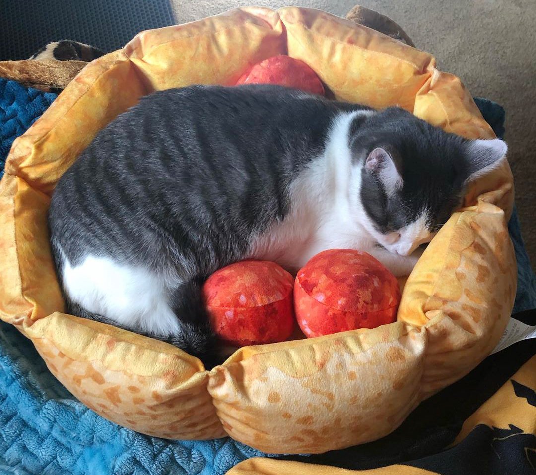 Pizza Cat Bed for Cats & Small Dogs, Fun Plush Round Pet Bed with Detachable Squeaker Toy Pillows, Warm Cozy Novelty Bed for Napping & Play