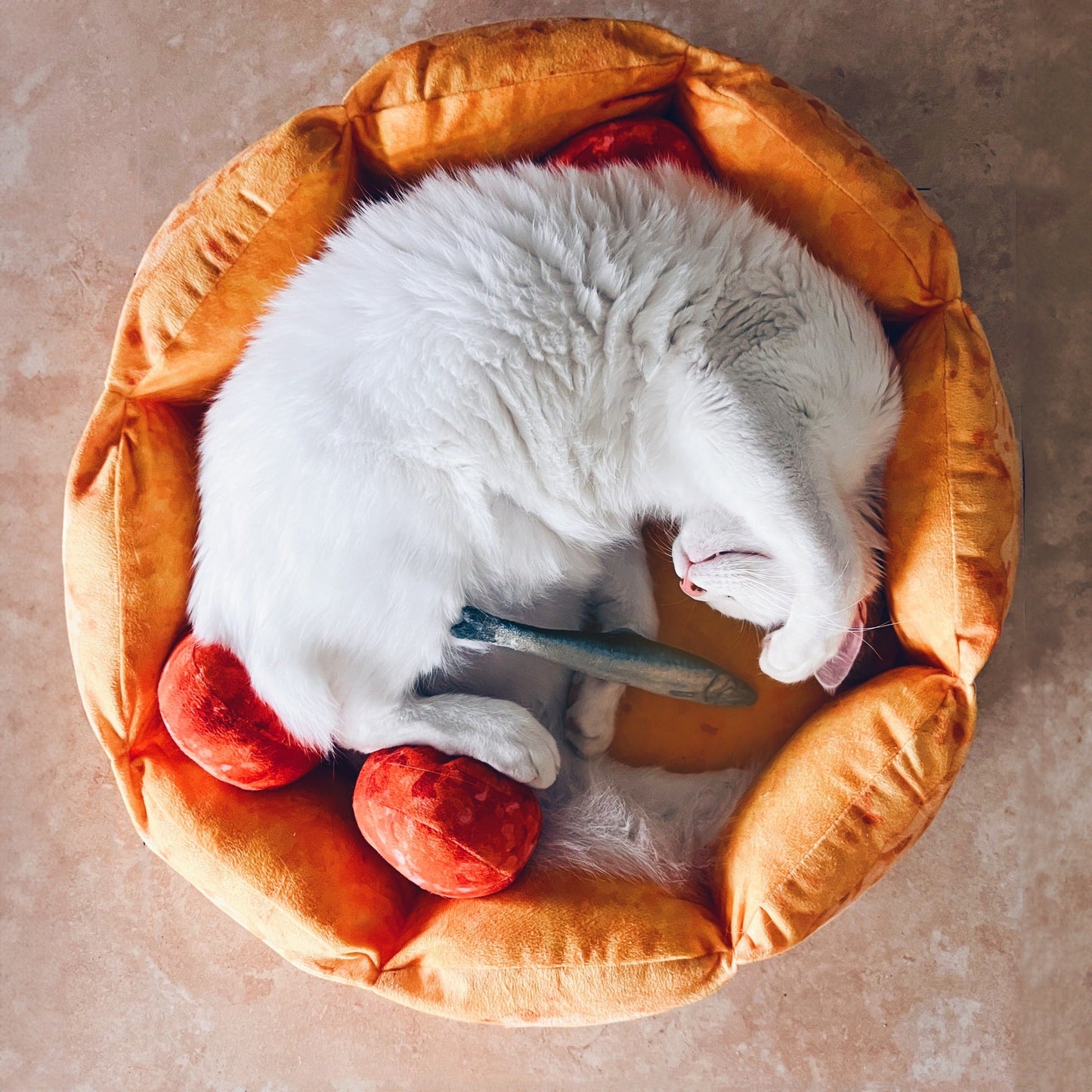 Pizza Cat Bed for Cats & Small Dogs, Fun Plush Round Pet Bed with Detachable Squeaker Toy Pillows, Warm Cozy Novelty Bed for Napping & Play