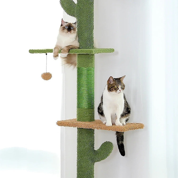 Two cats resting on separate platforms of the green cactus cat tree