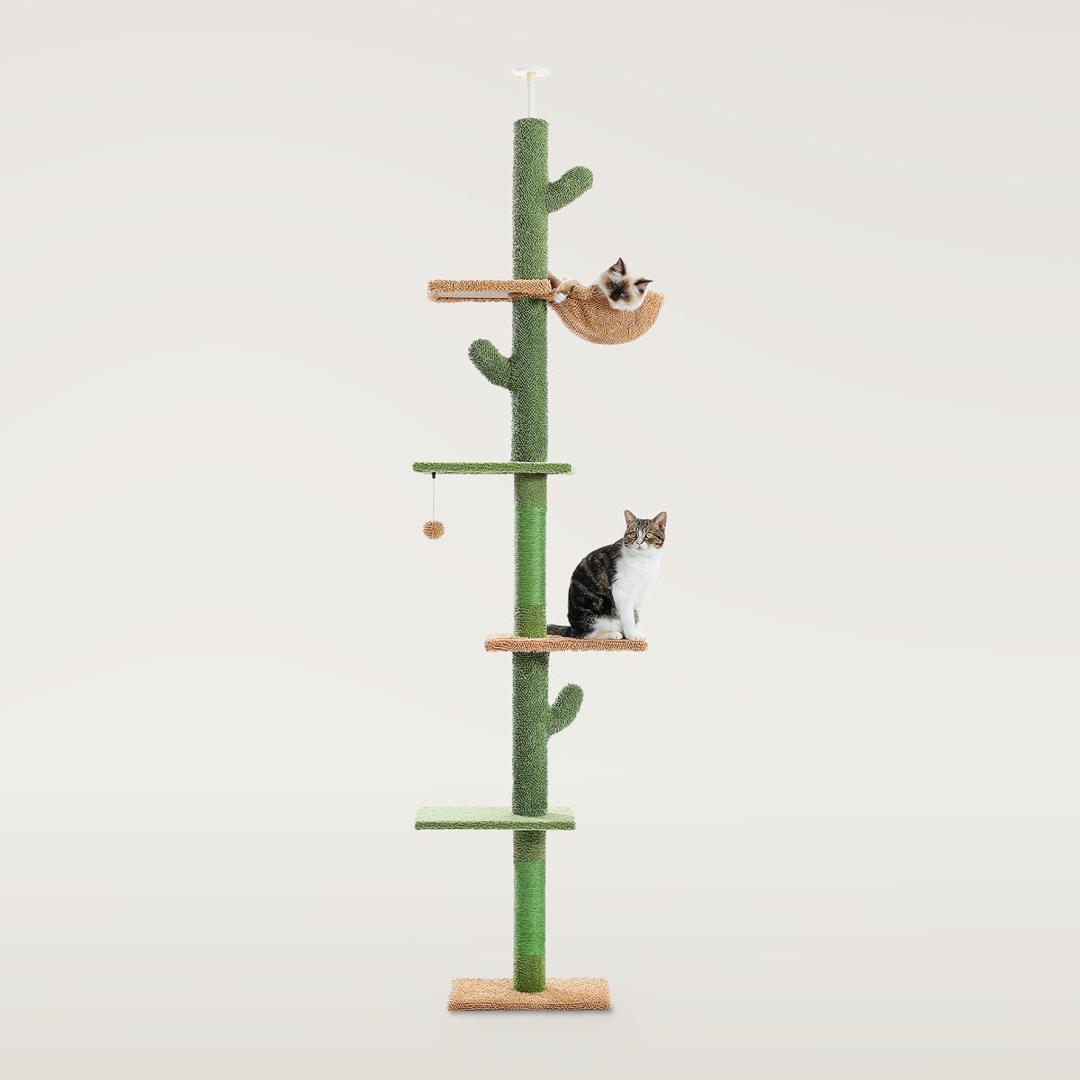 Green cactus floor-to-ceiling cat tree with five levels, a hammock and two cats