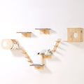 Seven natural wood cat wall pieces on a white wall, a kitten in the tunnel condo and a cat on the post platform
