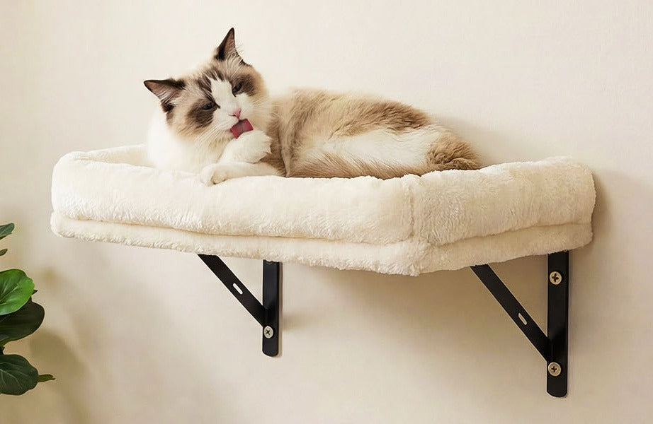 Beige plush sofa-bed shelf on black wall brackets, with a ragdoll cat lying on it
