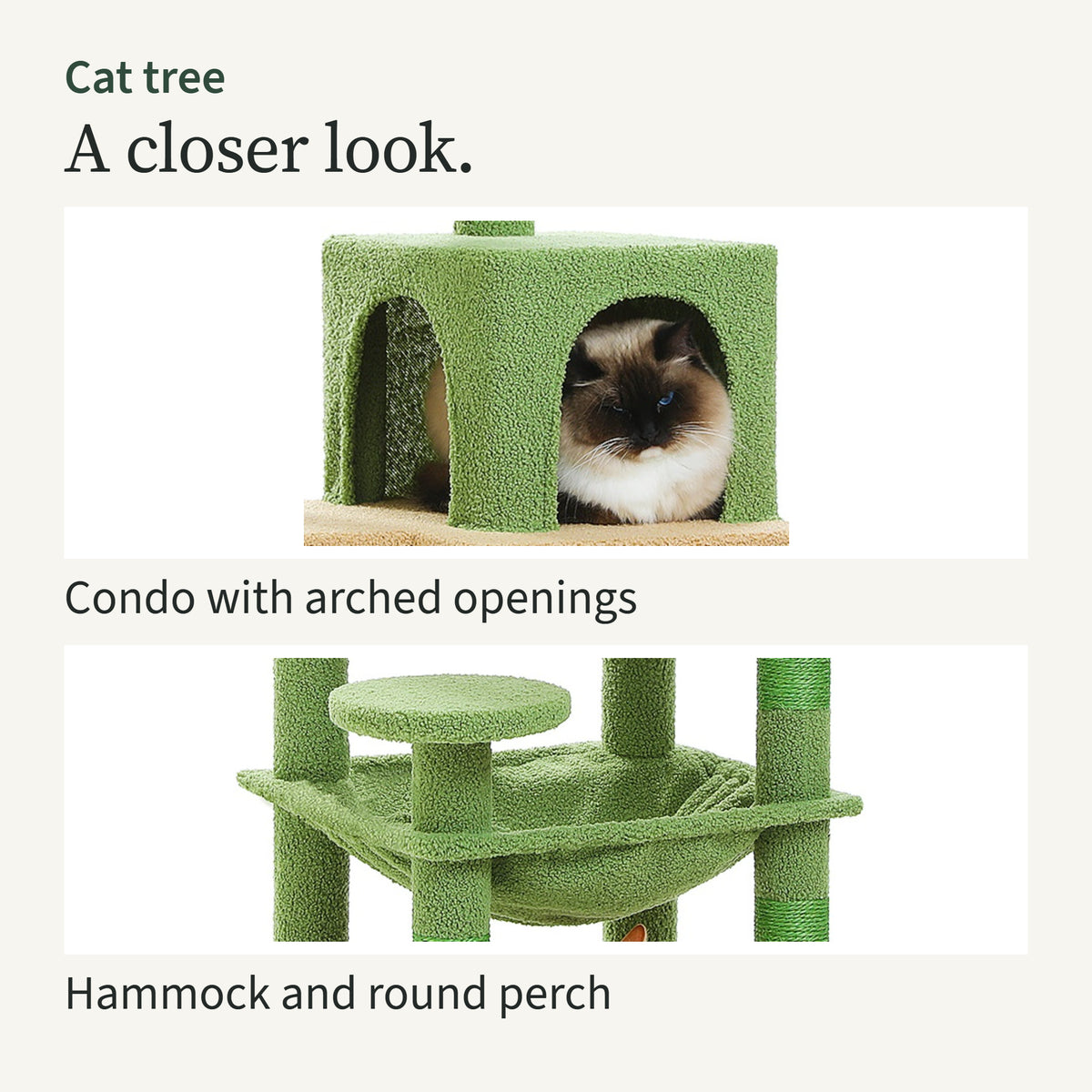 Close-ups of the condo with a cat inside, and the hammock with the small round perch