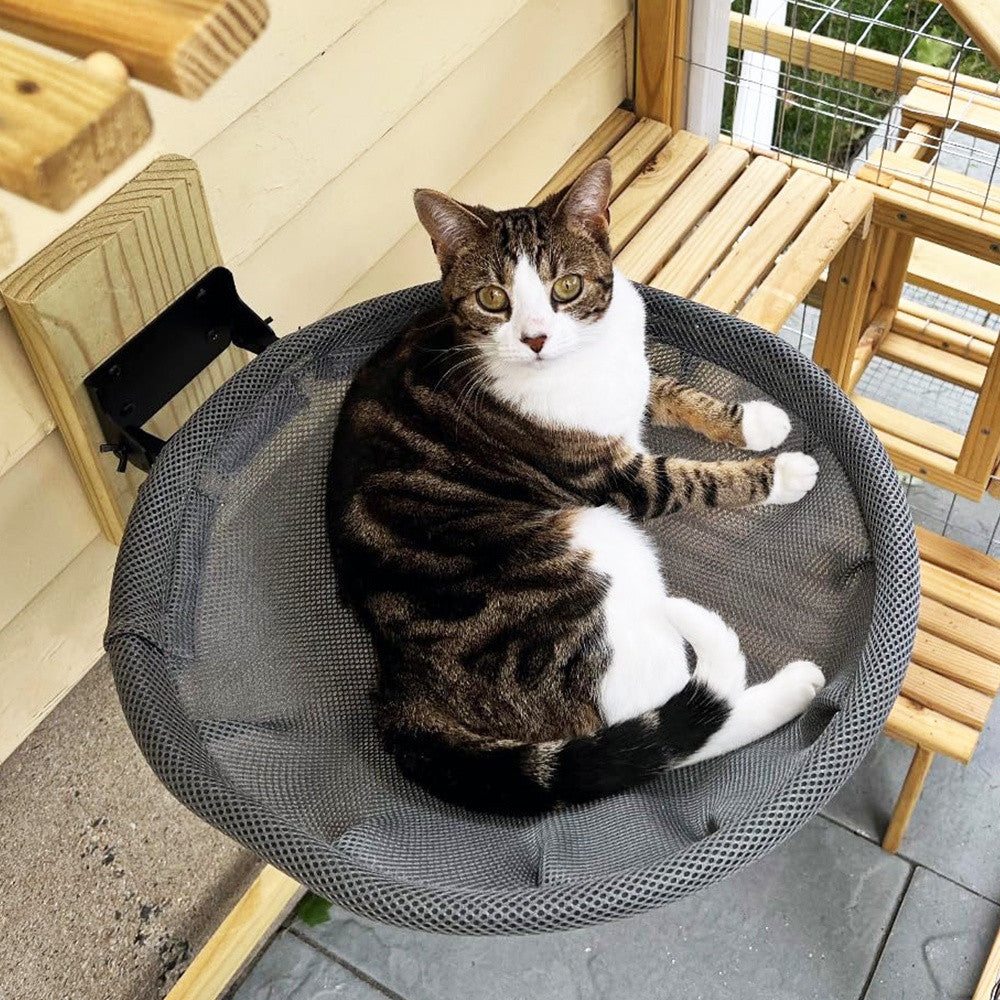 A tabby-and-white cat lying in the mesh hammock bolted to a wooden post