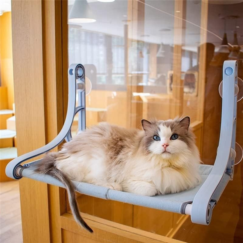 Cat lying on the light-blue window perch mounted on a glass pane