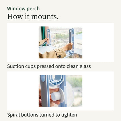 Hands pressing the suction cups onto window glass, and turning a spiral button to tighten