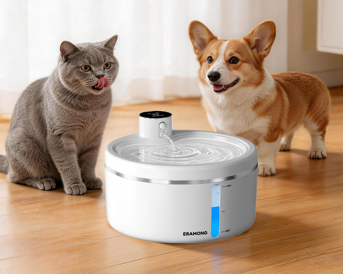 A grey cat and a corgi sit by the white round water fountain on a wooden floor
