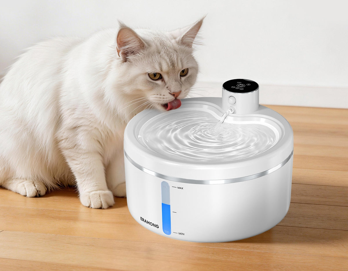 A white long-haired cat drinks from the white round water fountain