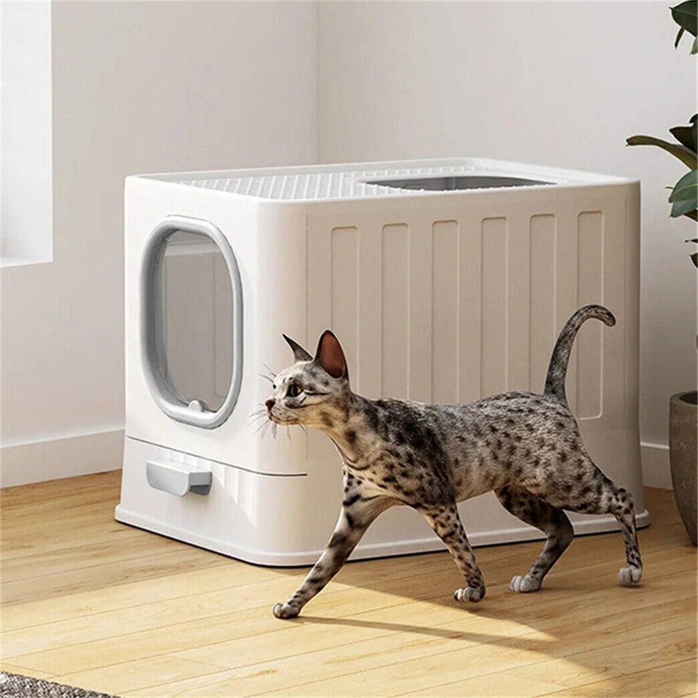 Spotted cat walking past the closed white litter box with its clear front door on a wooden floor