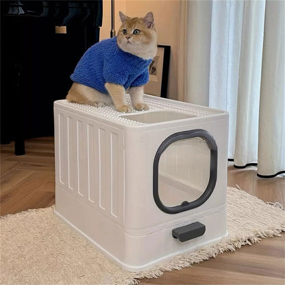 Ginger cat in a blue sweater sitting on top of the closed white litter box on a rug