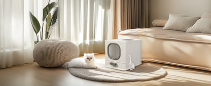 White kitten lying on a round rug beside the closed white litter box in a living room