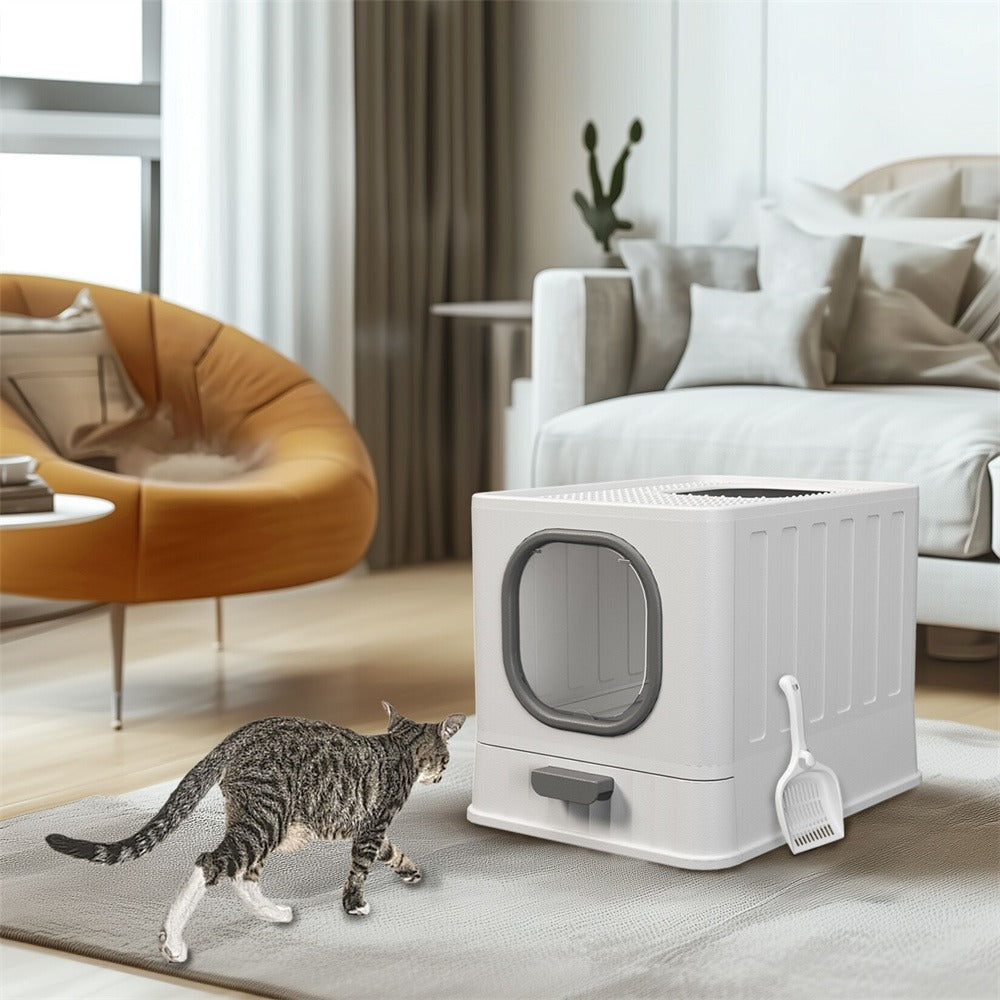 Tabby cat walking on a grey rug beside the closed white litter box with a scoop on its side