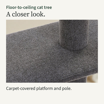 Close-up of a carpet-covered platform on the dark grey pole