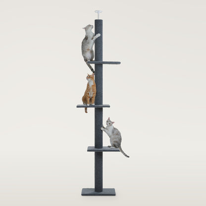 Dark grey floor-to-ceiling cat tree pole with three platforms, a ceiling cap and three cats climbing