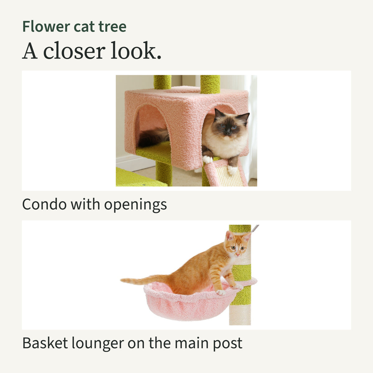 Close-ups of a cat in the pink condo with openings, and the pink basket lounger